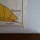 School poster on both sides anatomy fish and bee. Edition MDI.1964