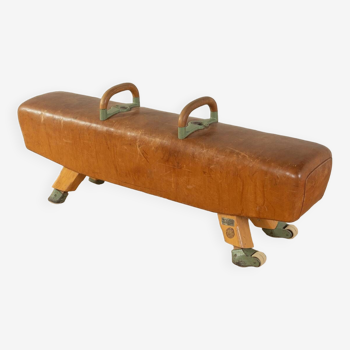 1960s Pommel horse bench