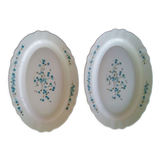 Oval dishes Arcopal Veronica forget-me-not