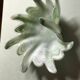 Opaline glass cup or ring sizer