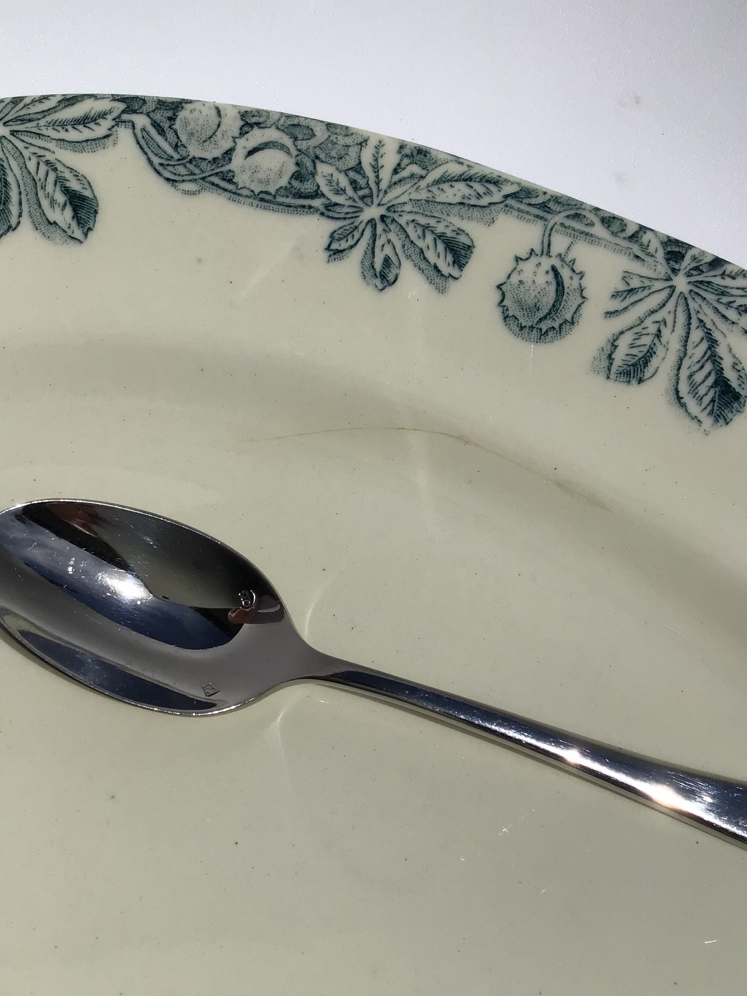 Flat Terre de Fer Salins Savoie blue grayed chestnut