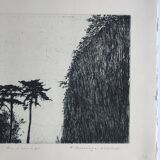 Nicole Bouharmont, Parc de Sceaux i, 2003-16. pointe sèche signée au crayon