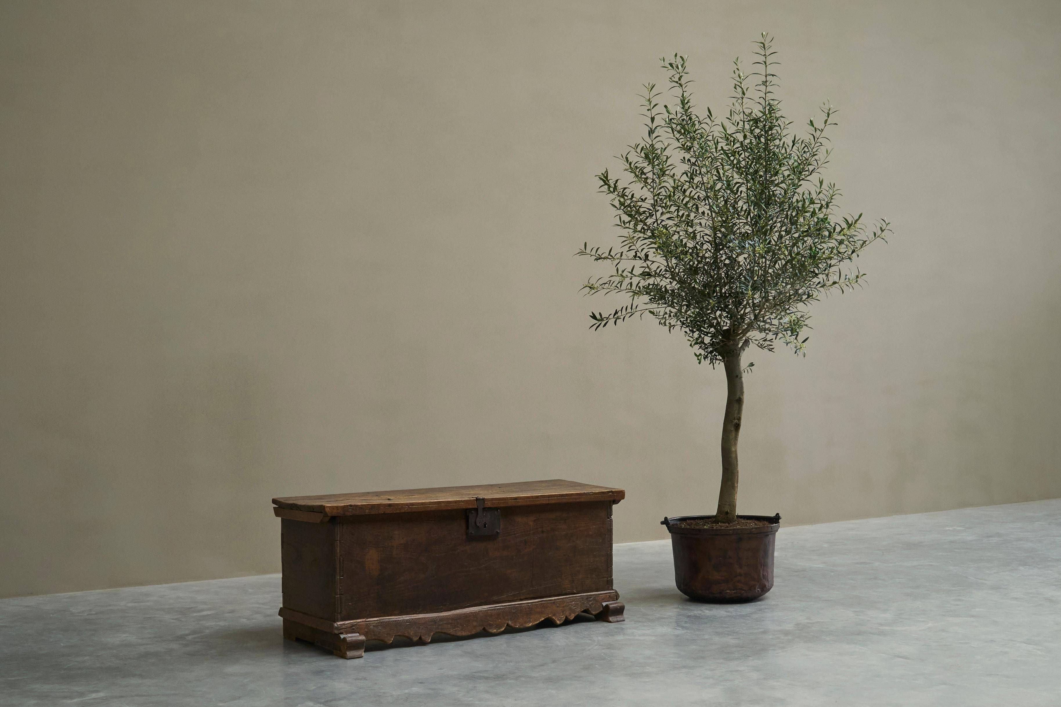 Oak and wrought iron mallet, early 18th century.