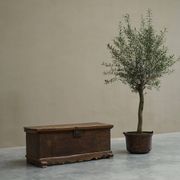 Oak and wrought iron mallet, early 18th century.
