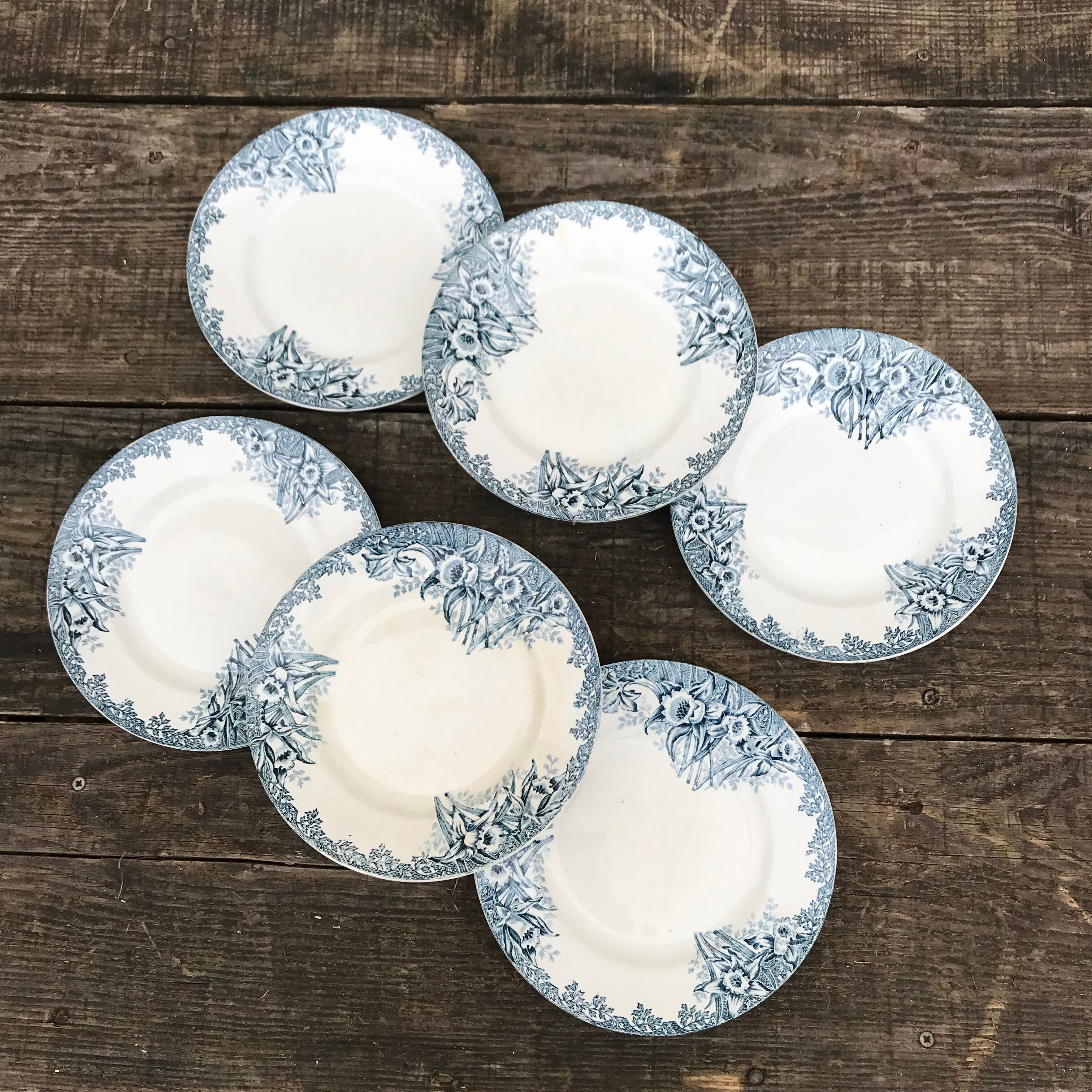 6 flat plates iron earth Narcisses StAmand