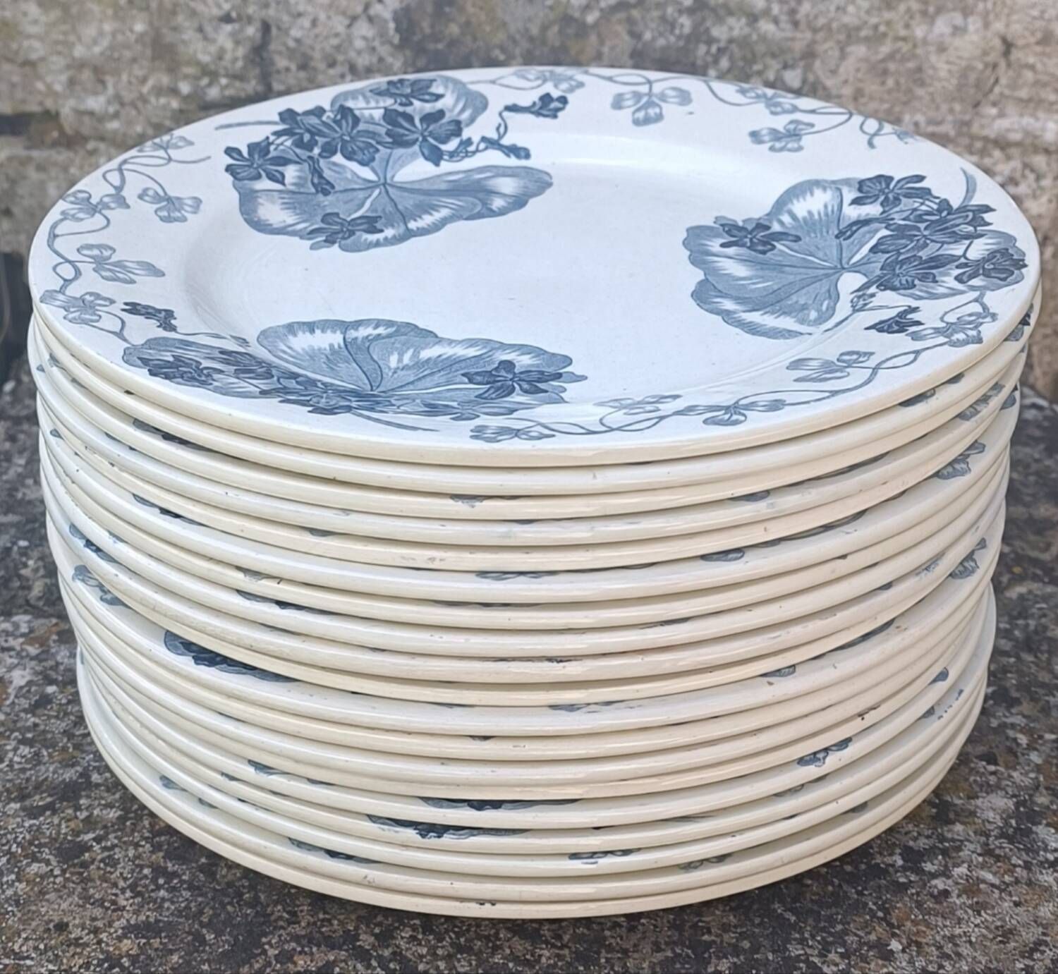 Assiette terre de fer Salins