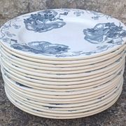 Iron earth plate Salins