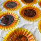 9 small plates sunflower oil lesieur Duralex