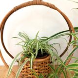 Bamboo and rattan plant holder or pot cover - 1970s