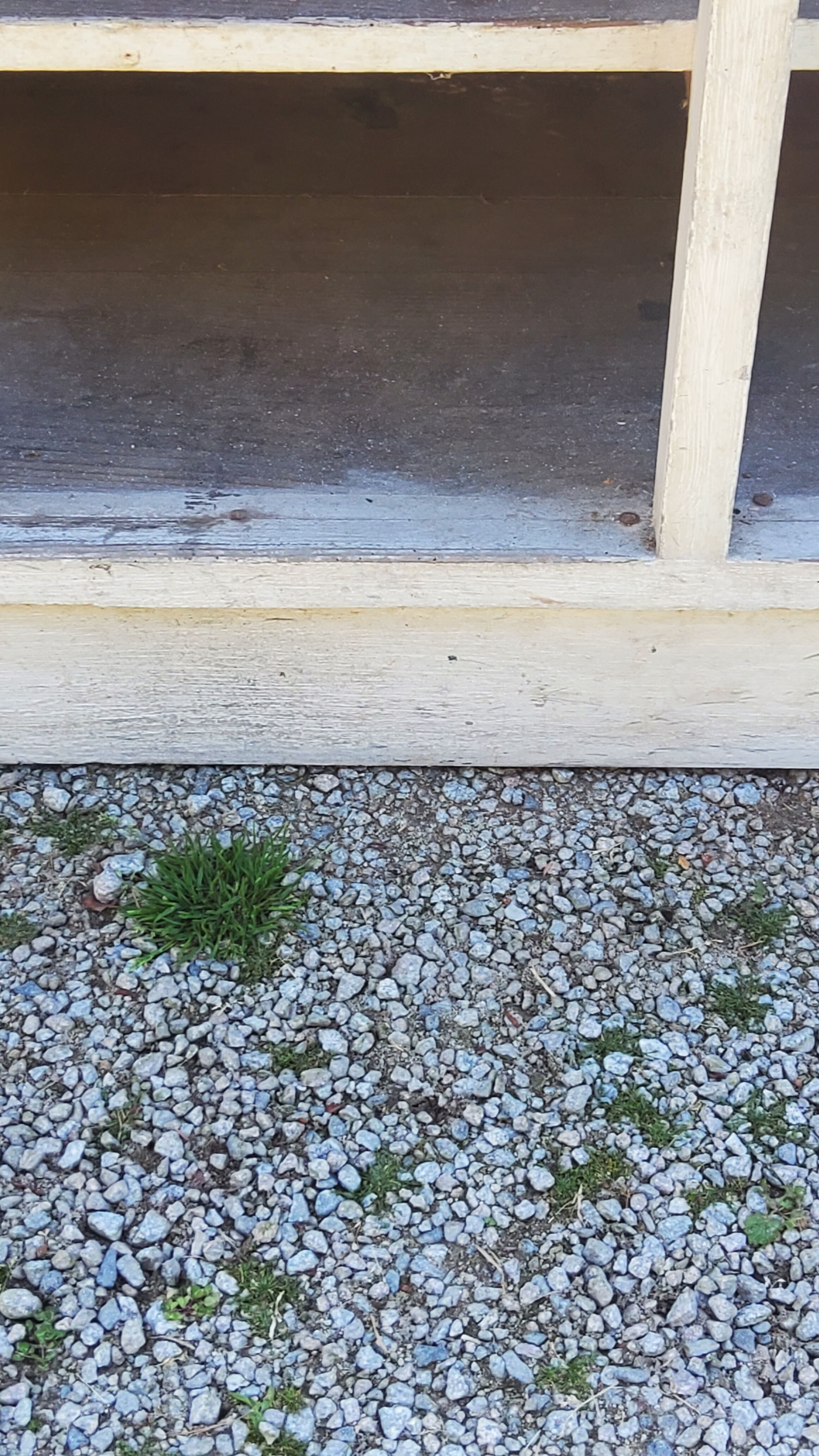 Grocery counter from the 30s