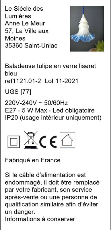 Tulip glass table lamp with frosted finish, azure blue trim – Vintage 1950