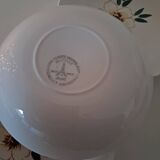 Deep plate Salins France