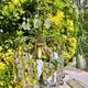 Magnificent Cascade Chandelier in Brass & Crystal Glass 1970s Vintage
