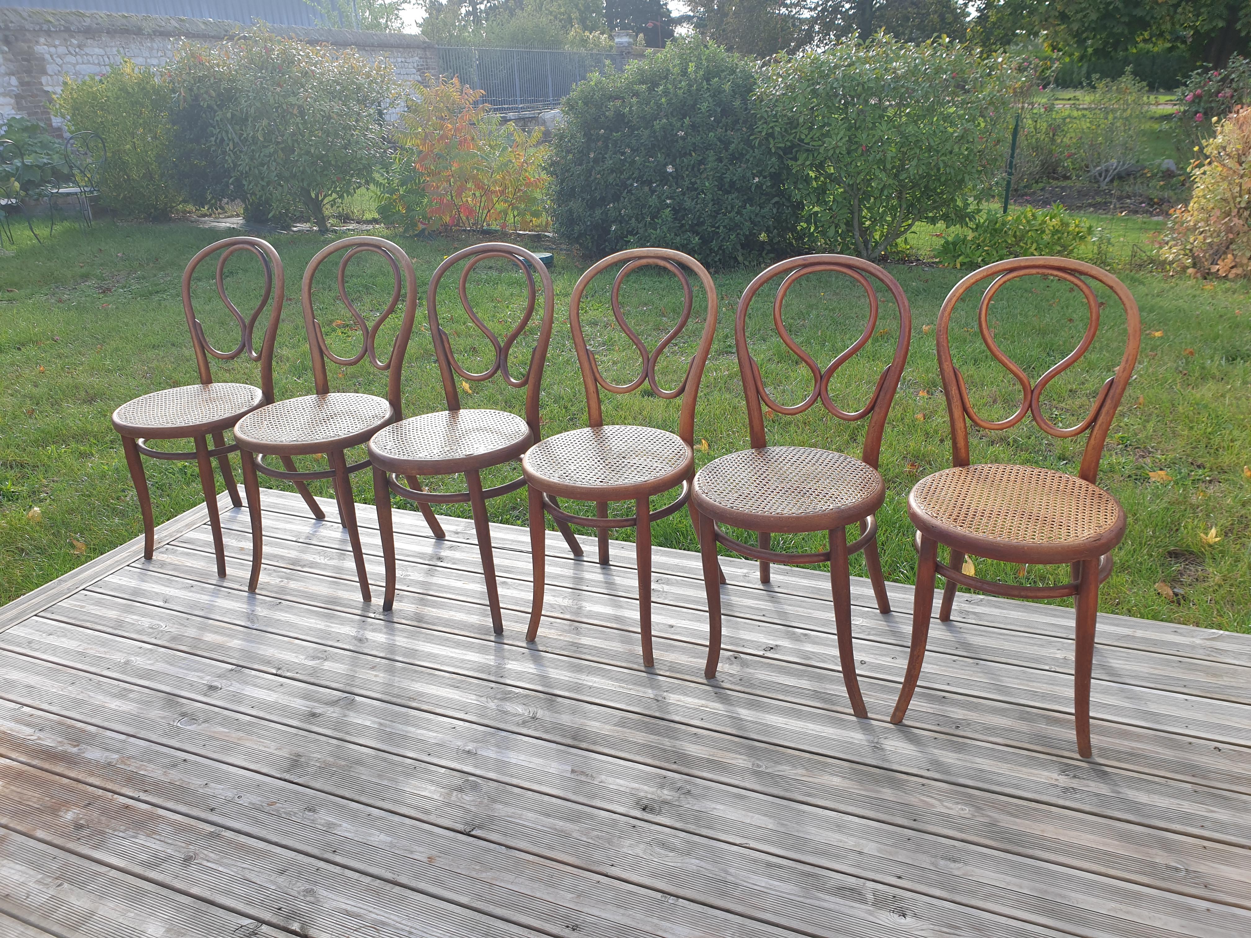 Série de 6 chaises Thonet N°20 Omega