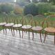 Série de 6 chaises Thonet N°20 Omega