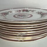 10 porcelain plates and a dish