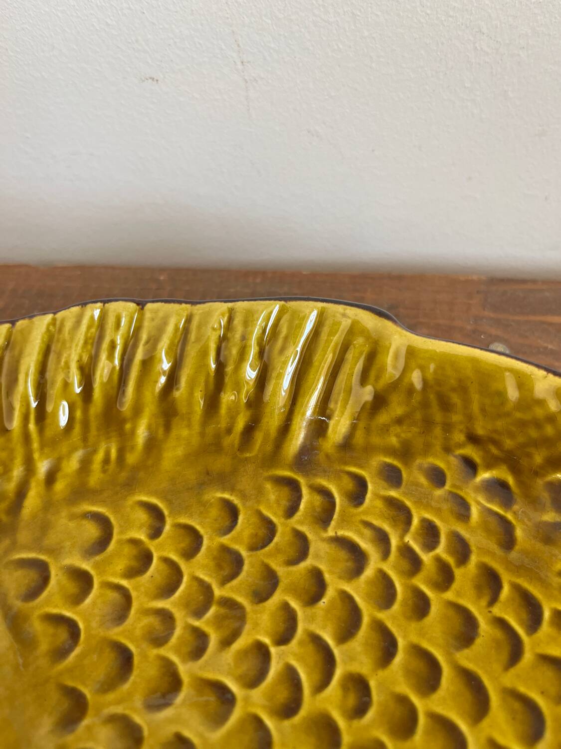 Deep plate fish