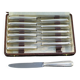12 dessert knives orbrille in silver metal stainless steel blade