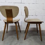 Pair of Baumann chairs No. 831 G1 "design Max Bill" 1960