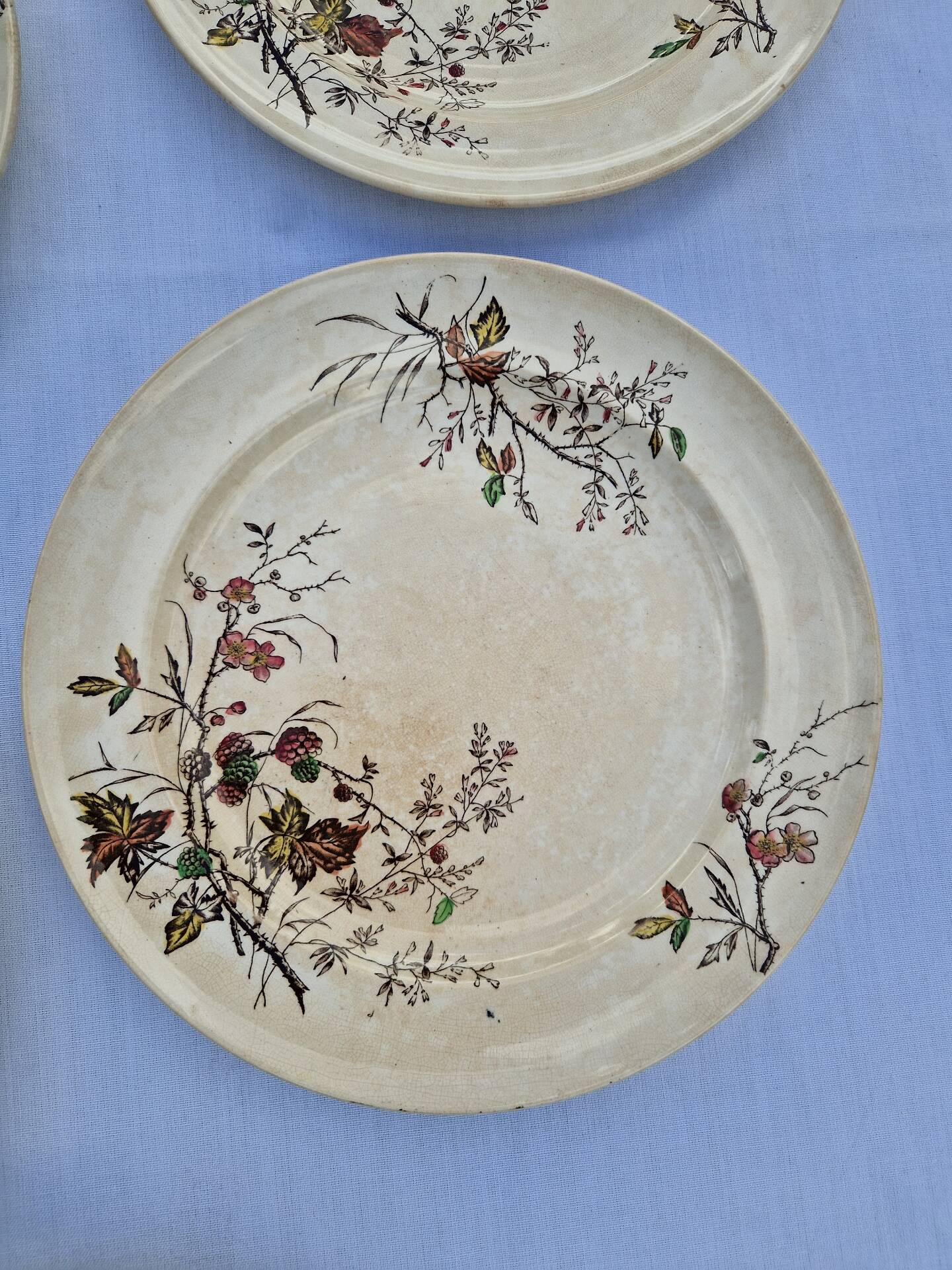 Set of 12 Terre De Fer Plates Manufacture Moore & Co Model Como