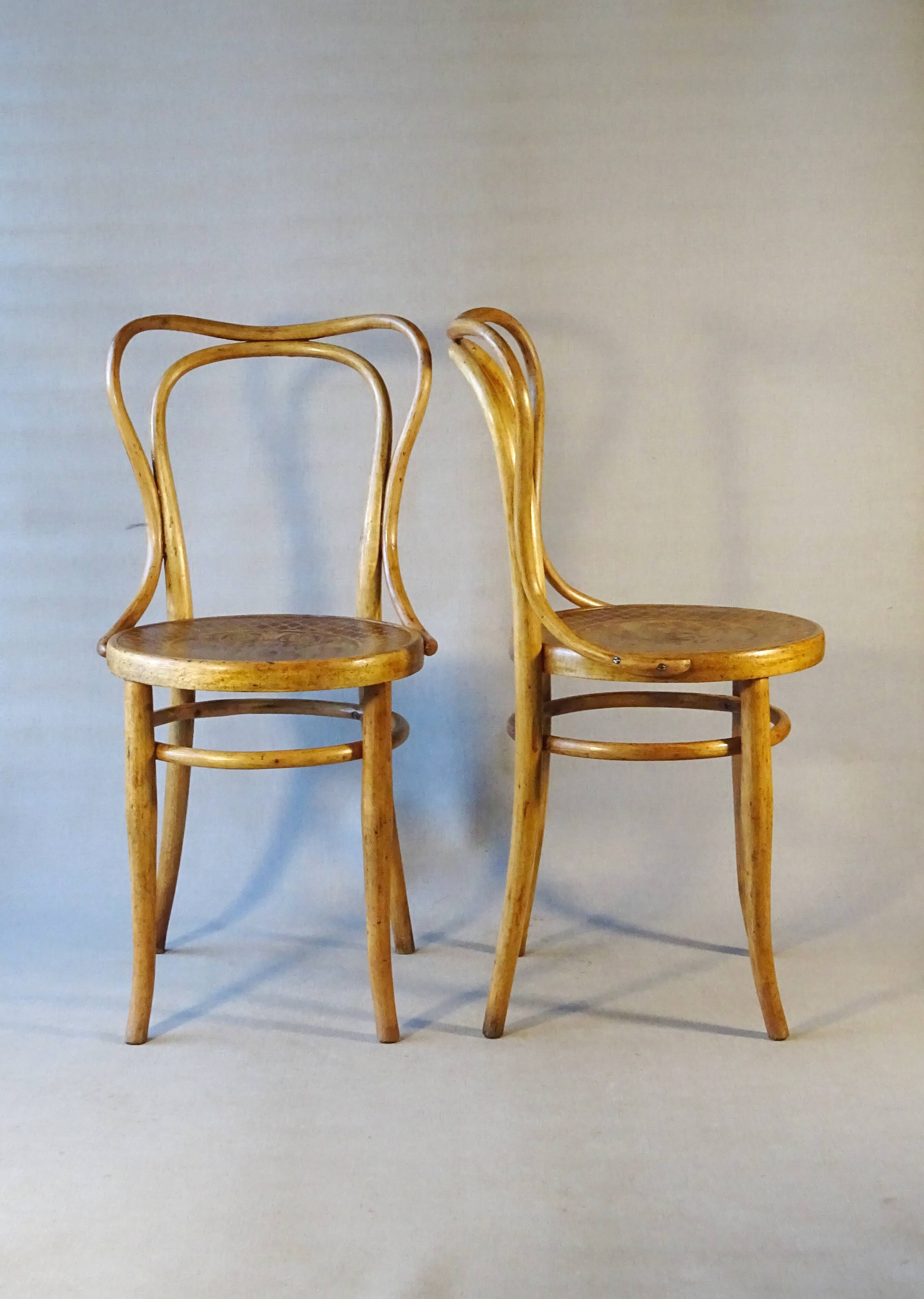 Two Kohn bistro chairs no. 55, circa 1910, not Thonet.