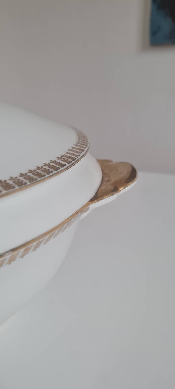 Limoges porcelain tureen