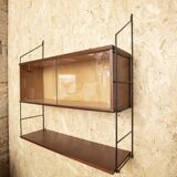 Nils Strinning mature display case