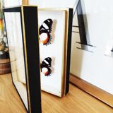 Butterfly frame