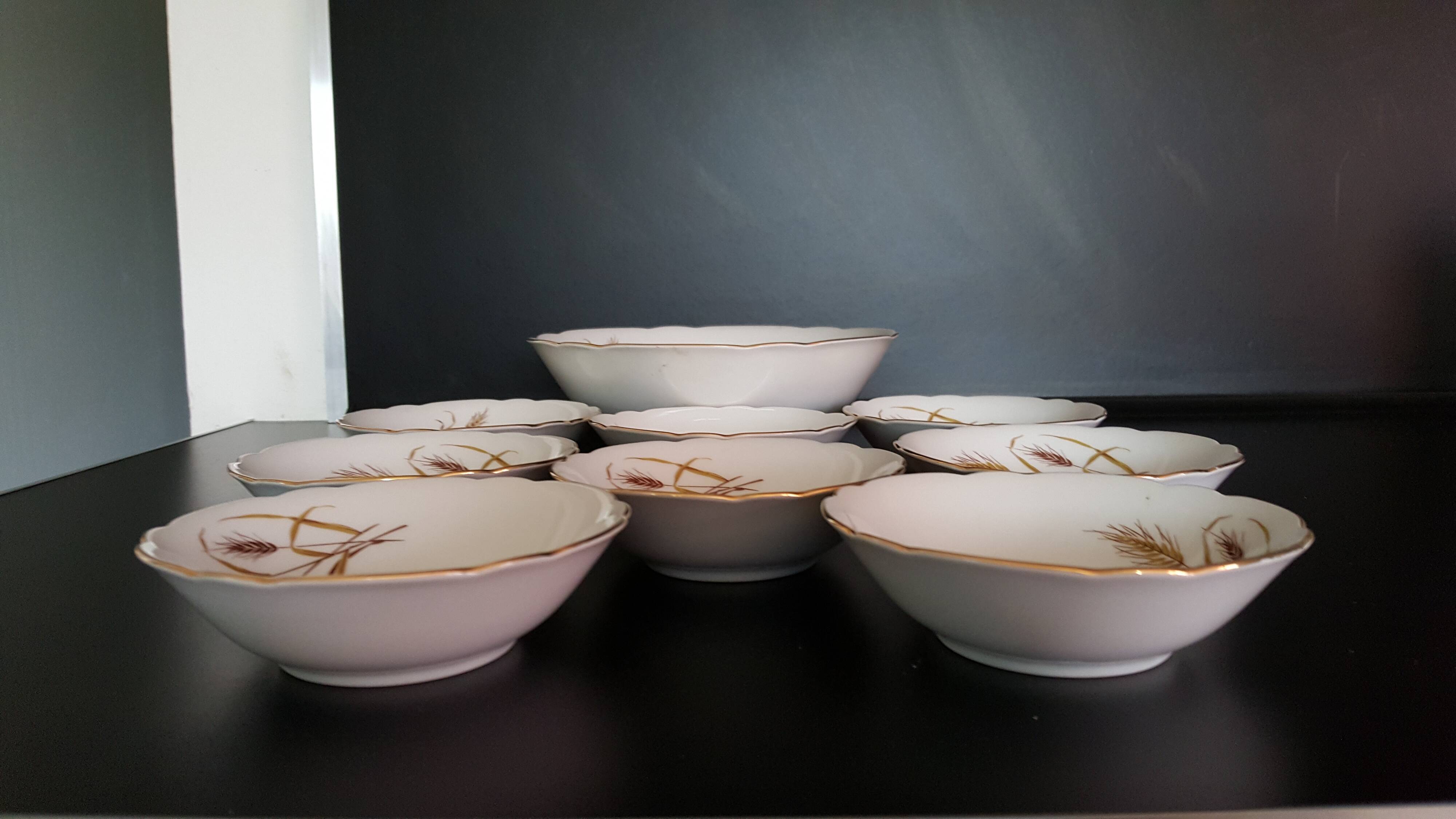 Service 9 seltmann weiden bavaria parts