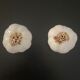 1 salt shaker and 1 pepper white garlic shape