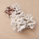 Imposing natural white coral, 70s