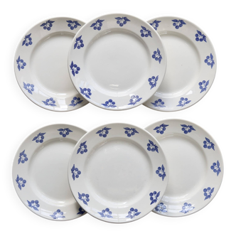 6 vintage white earthenware dessert plates - Blue cherry decoration