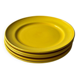 Yellow saline flat plates