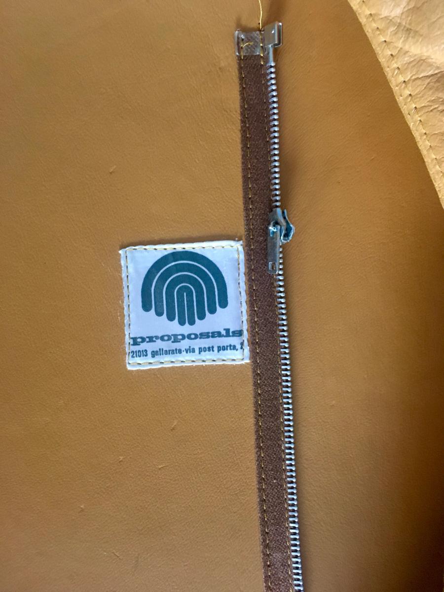 Set of 2 chairs P60 with ottoman by Vittorio Introini for Saporiti 1960