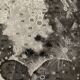 Planche photographique sur la lune de 1928