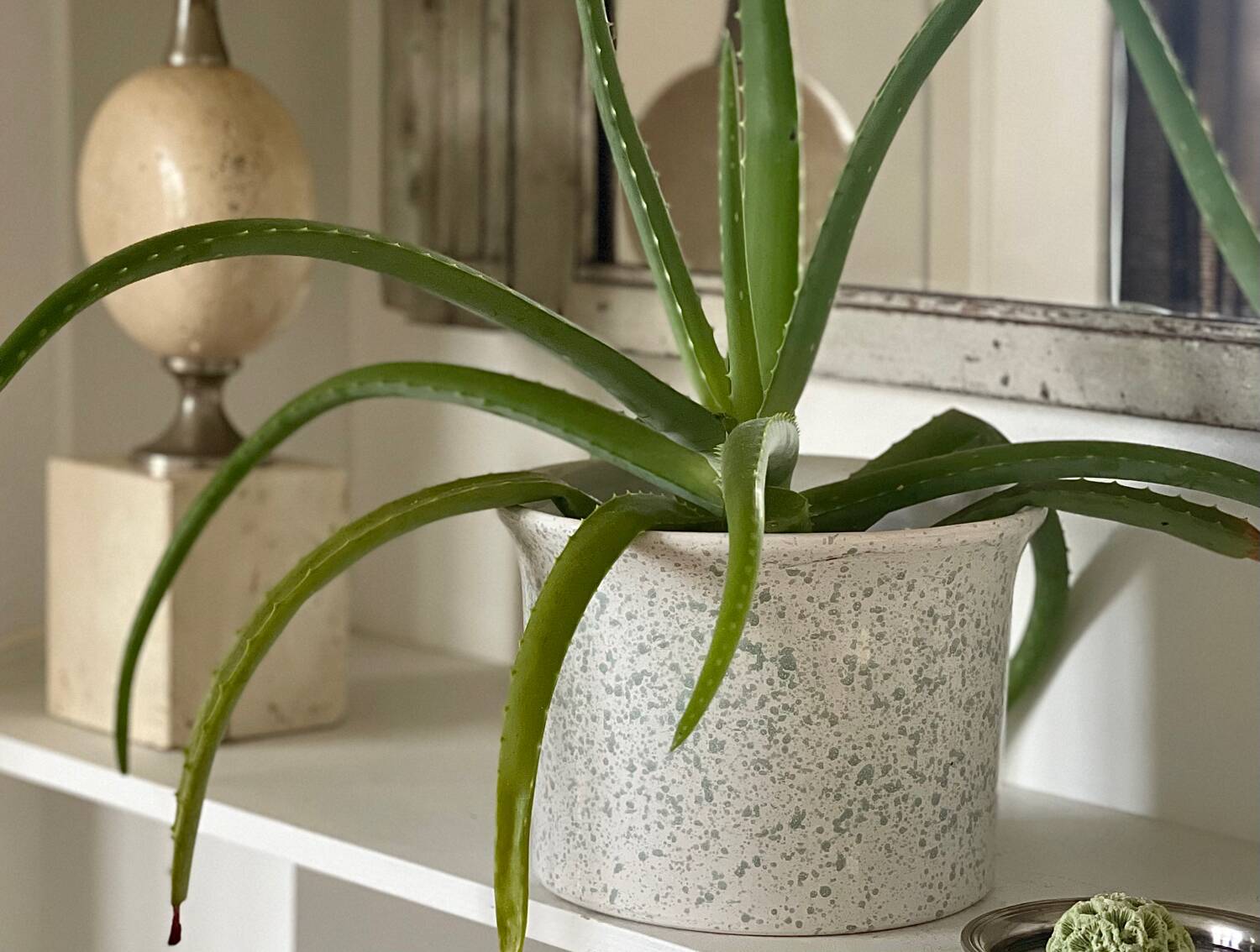 Speckled ceramic planter