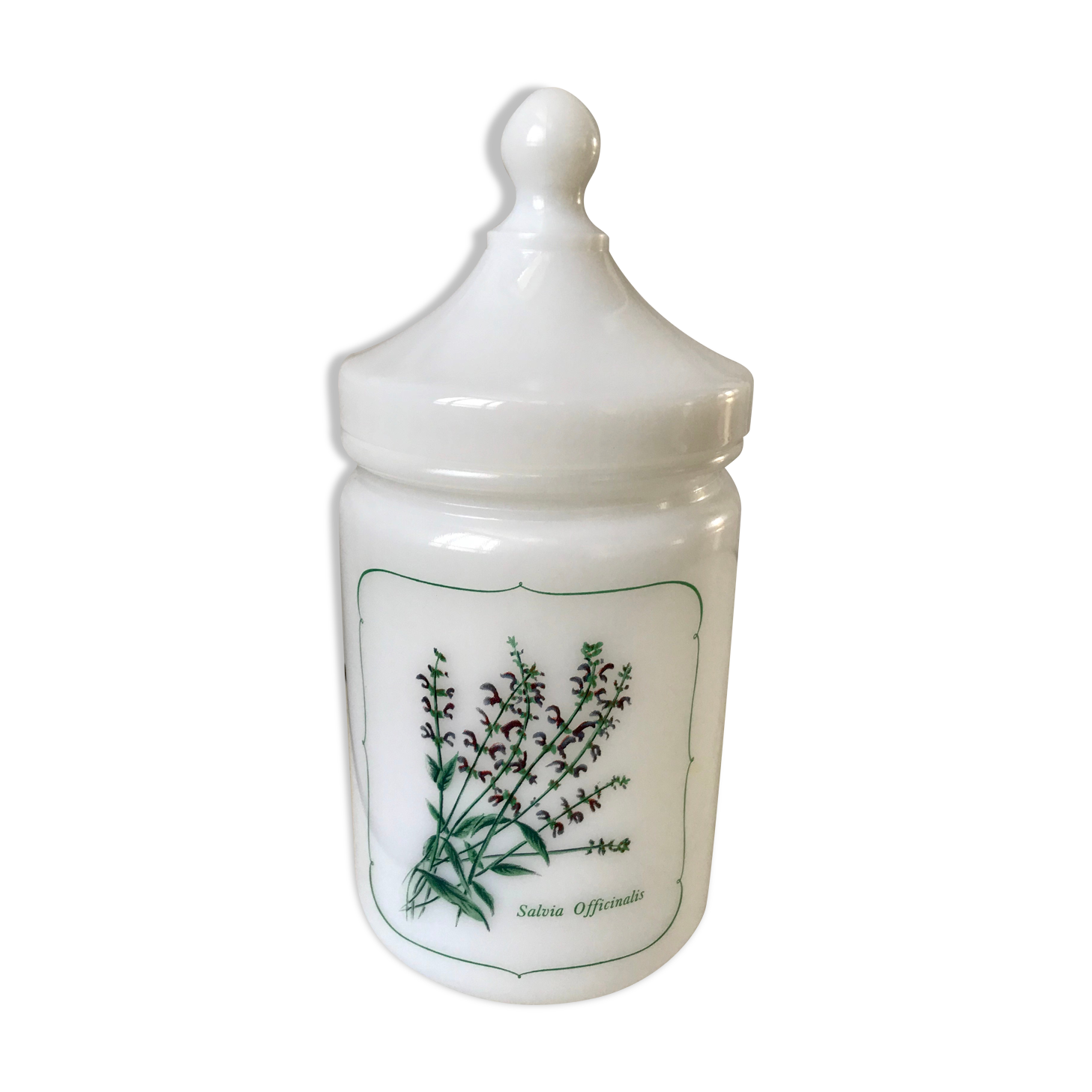Old pharmacy jar Salvia Officinalis