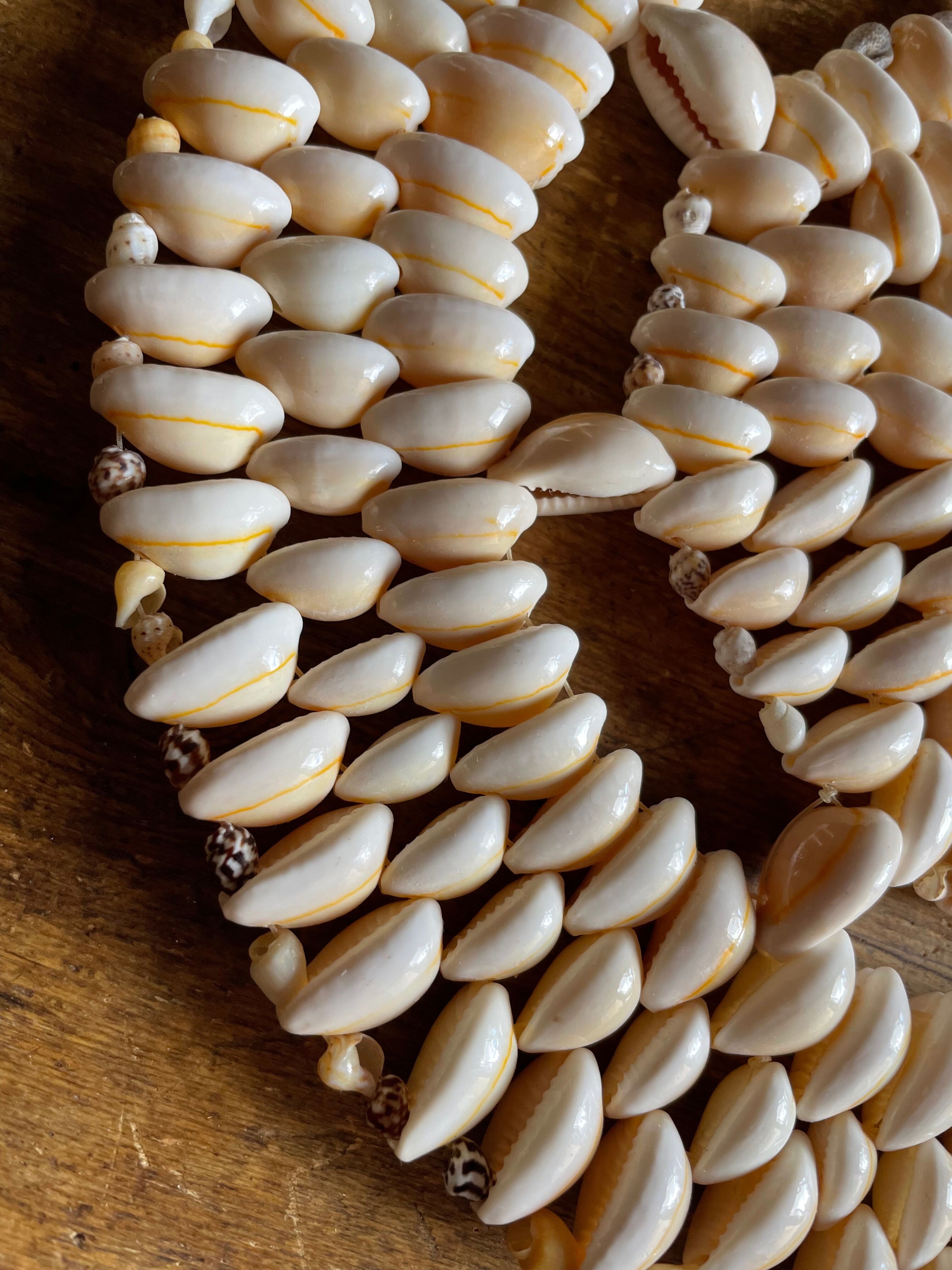 Shell flat bottoms