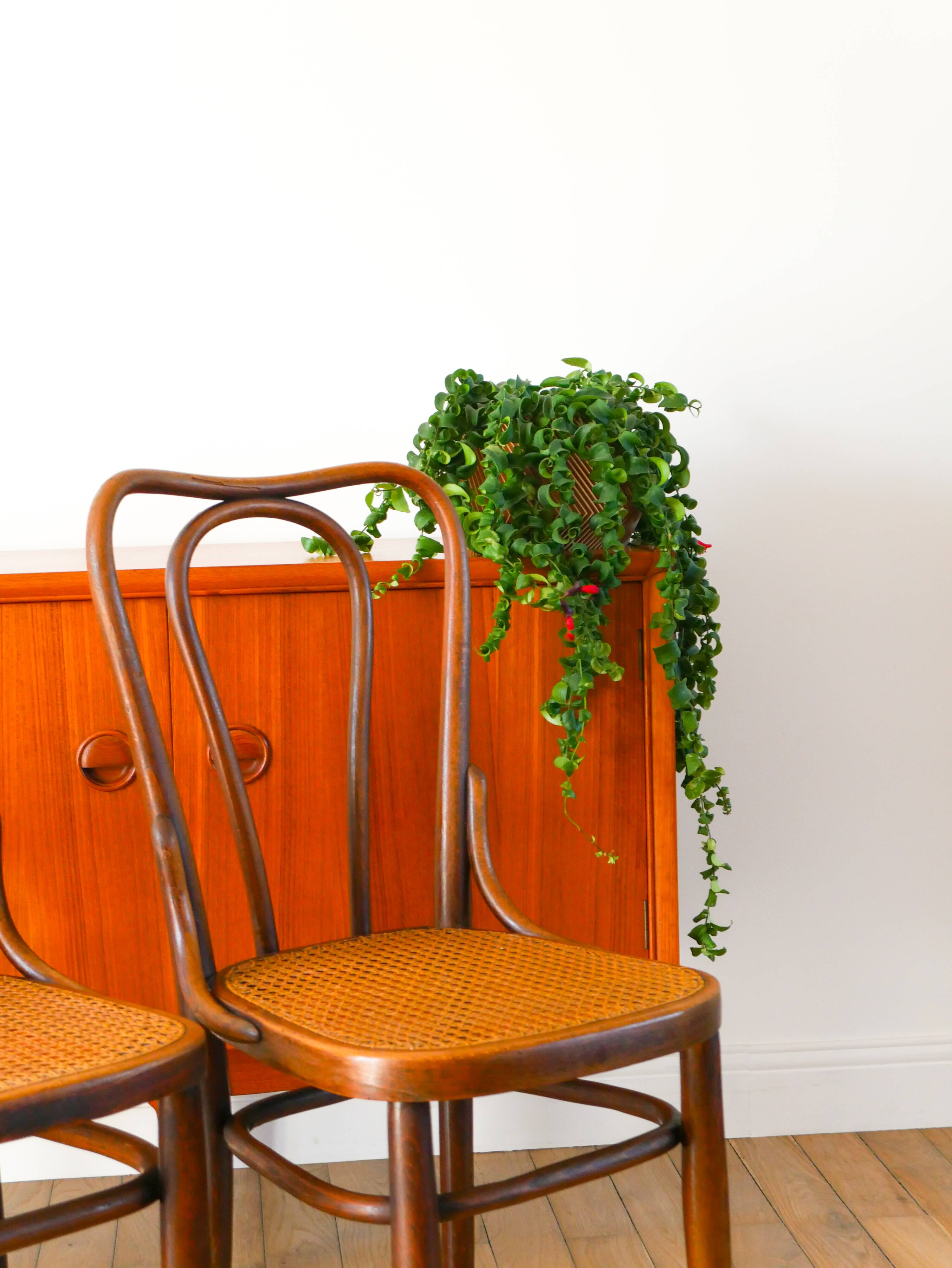 Set of 3 bistro chairs in wood and canework signed J. Kohn, Made in Austria, 20th century