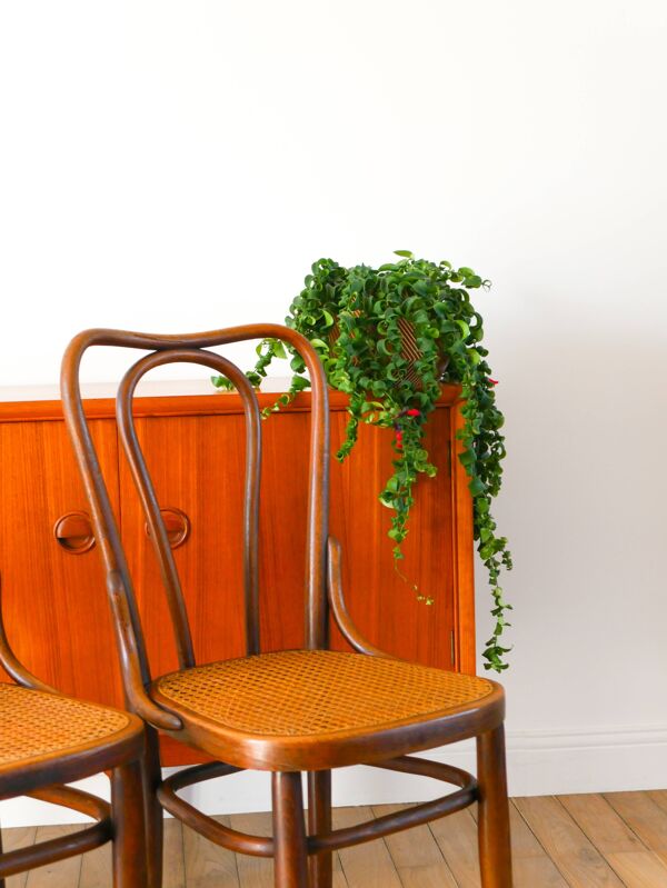 Ensemble de 3 chaises bistrot en bois et cannage signées J. Kohn, Made in Austria, XXème
