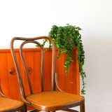 Set of 3 bistro chairs in wood and canework signed J. Kohn, Made in Austria, 20th century