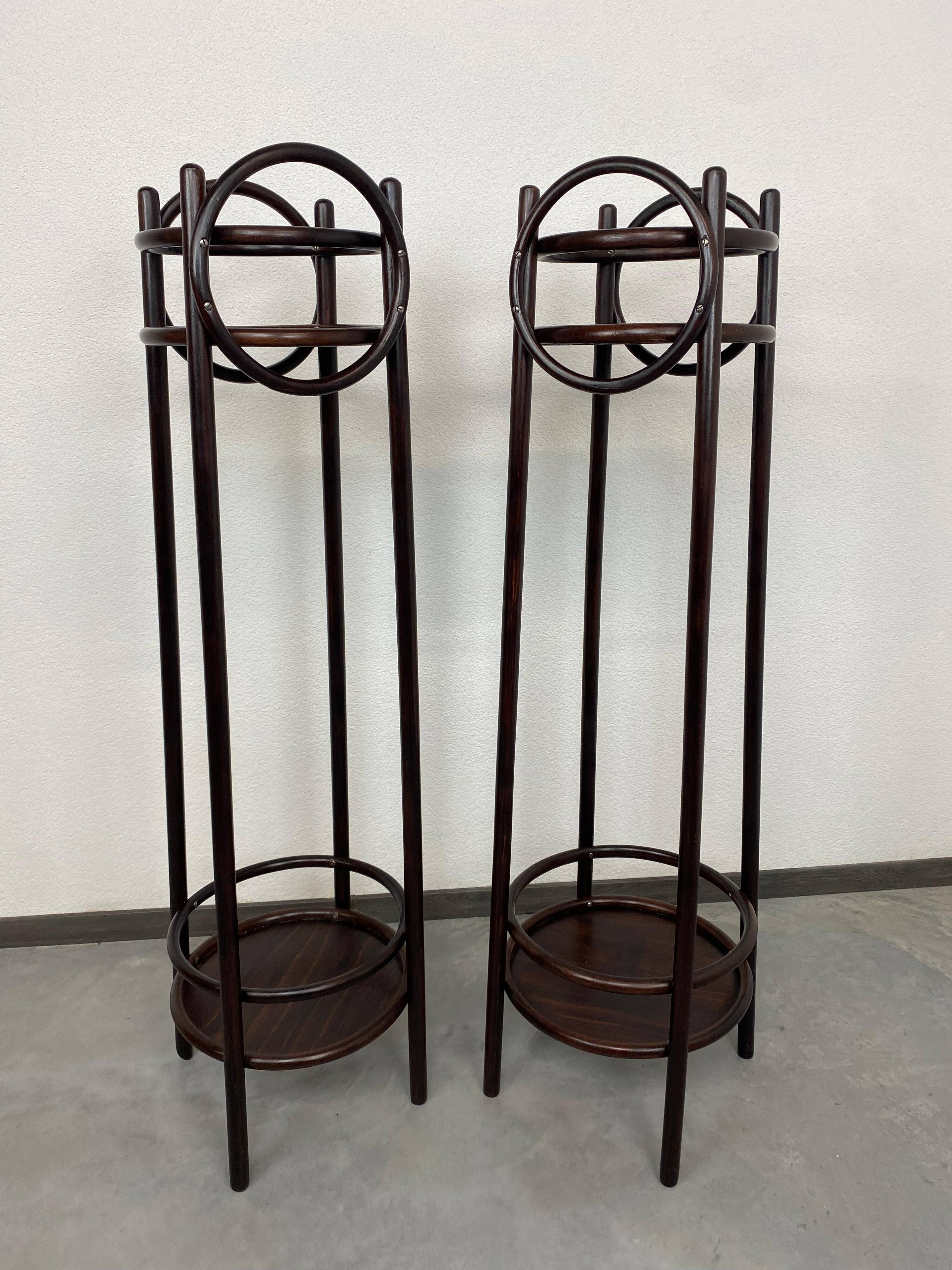 Plant supports in bent wood by Thonet