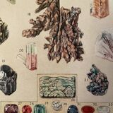 Lithography engraving on minerals and mines from 1928