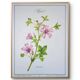 Printed in 1986, the Mauve. Vintage Botany.