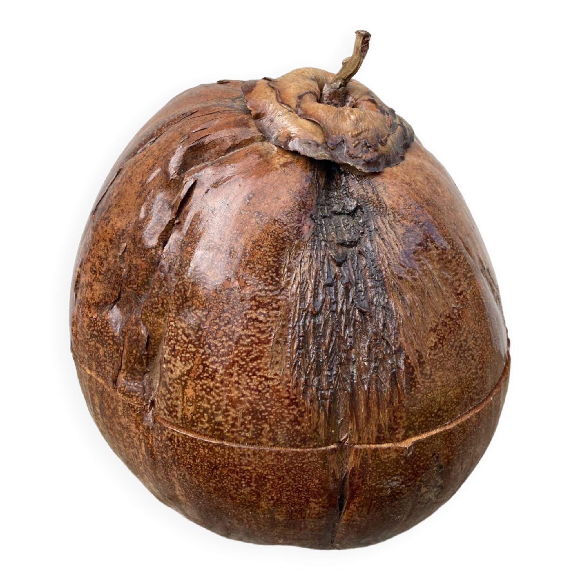 Exotic brutalist coconut ice bucket 1960