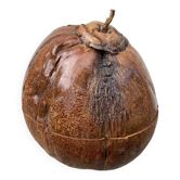 Seau à glace noix de coco brutaliste exotique 1960