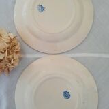 6 assiettes plates anciennes dépareillées terre de fer