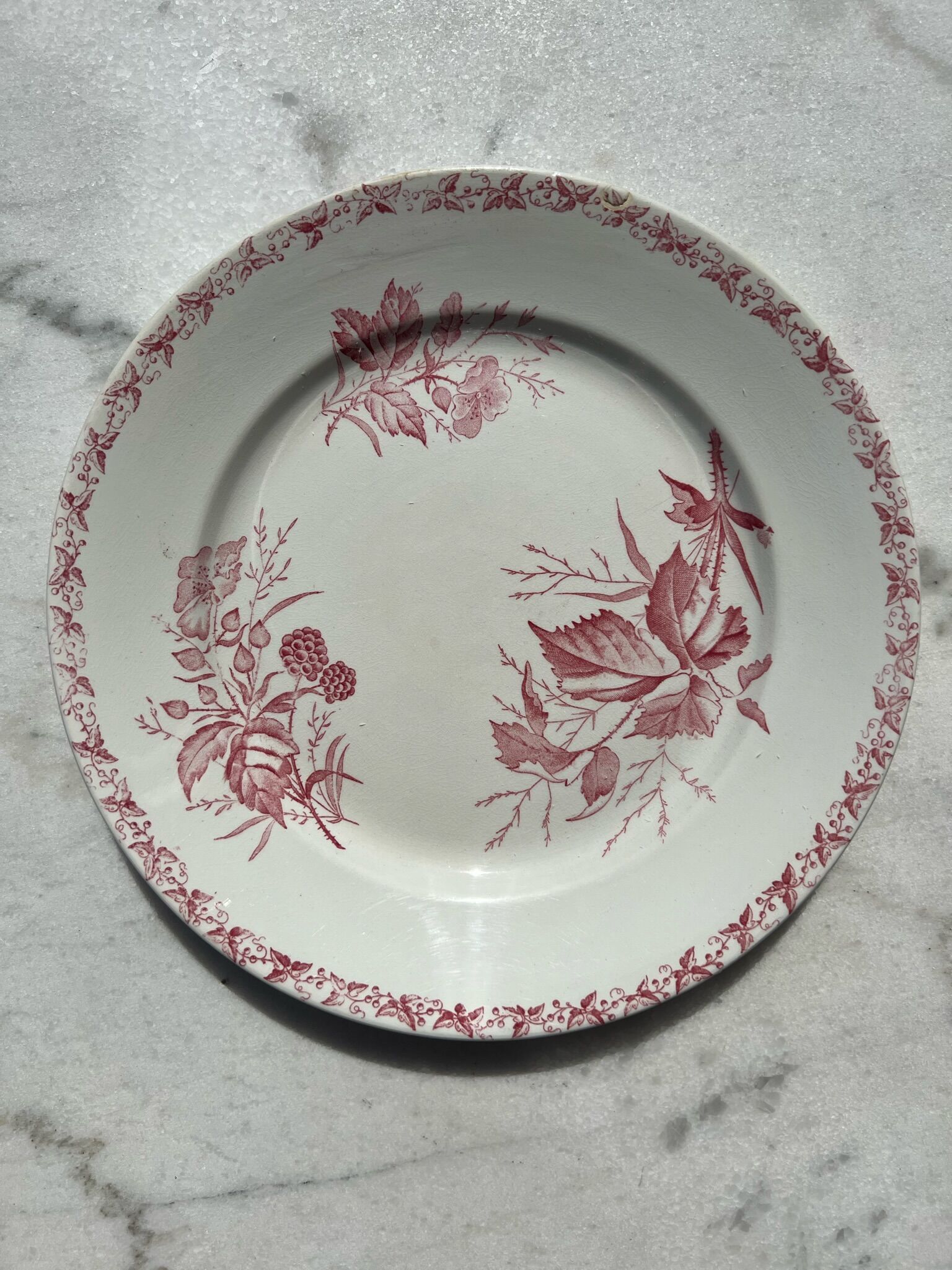 Badonwiller plates