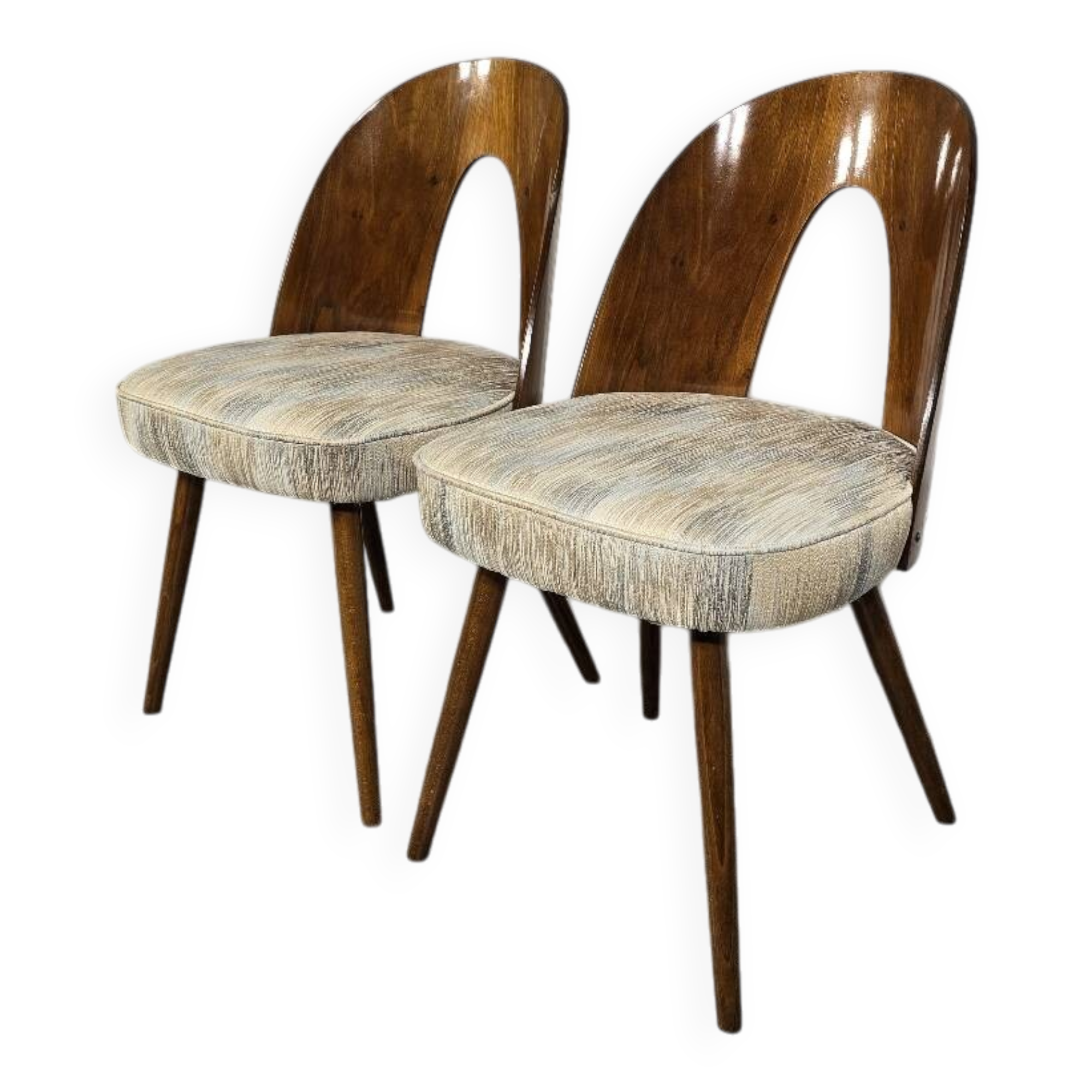 Pair of Dining Chairs by Antonin Suman, 1960s