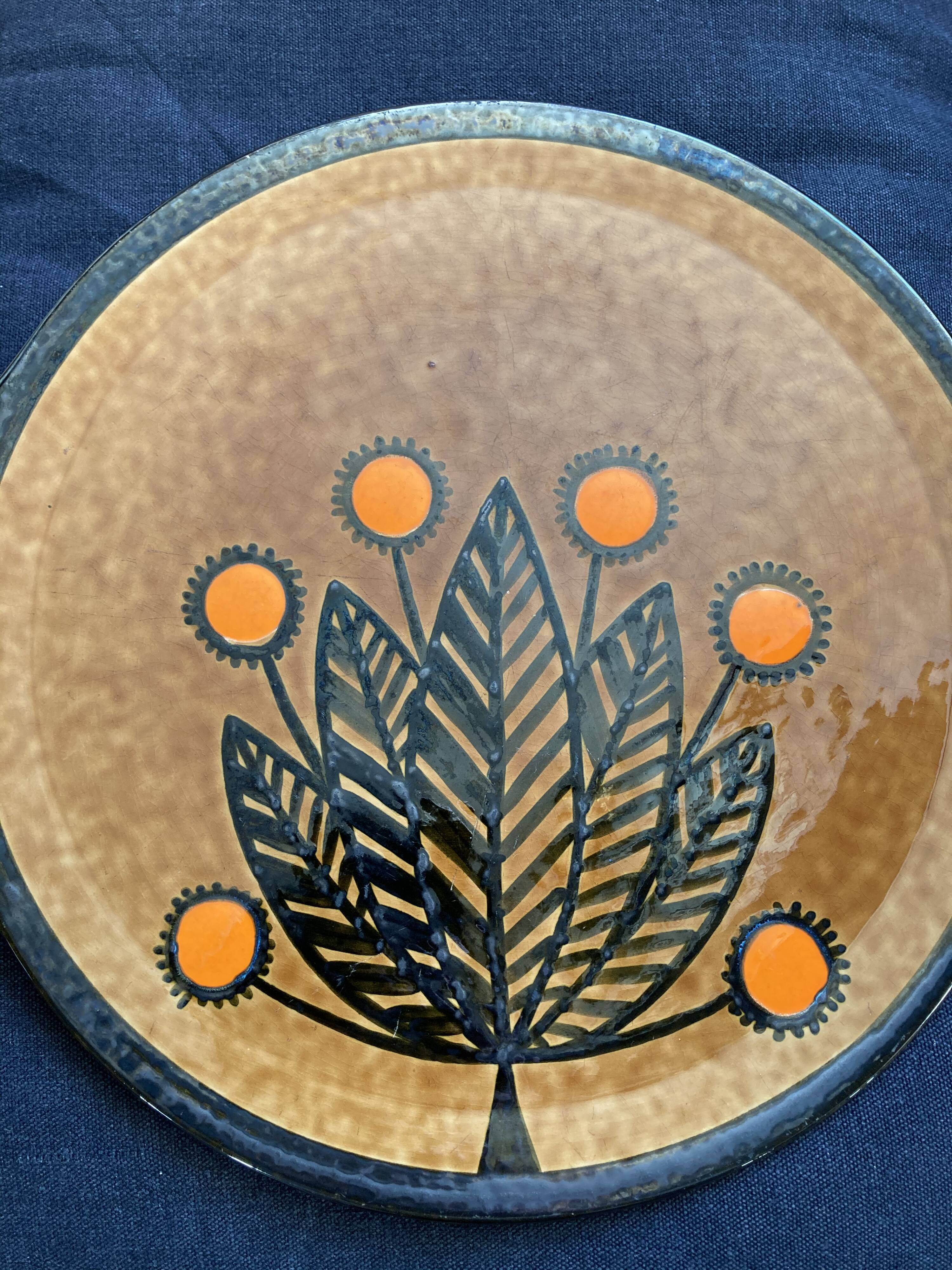 Large dish good seed